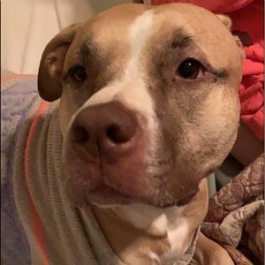 Meet your Posher, Simone